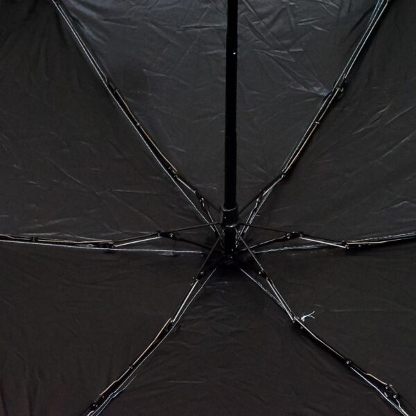 5 Fold Manual Open Umbrella With Capsule Case (1 Pc) - Image 5