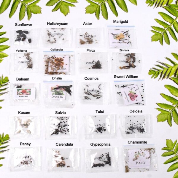 Seeds 20 Varieties Of Flower Seeds Combo (1 Pkt / 20 Varieties) - Image 2