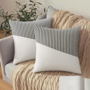Premium Cotton & Faux Fur Decorative Pillow Covers  Set Of 2