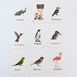 Childkraft Early Learner Educational Flashcards  32 Birds