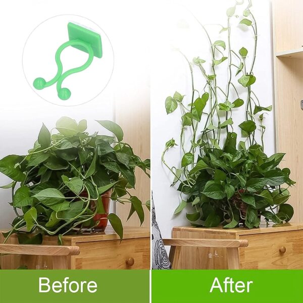 Plant Climbing Wall Fixture Clips  100 Pcs Set For Secure Plant Support And Organization - Image 4