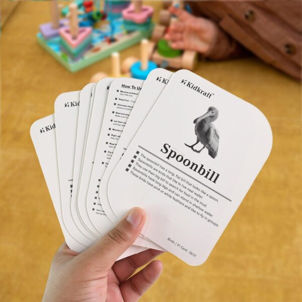 Childkraft Early Learner Educational Flashcards  32 Birds - Image 3
