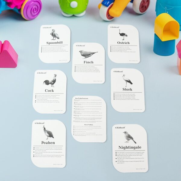 Childkraft Early Learner Educational Flashcards  32 Birds - Image 2