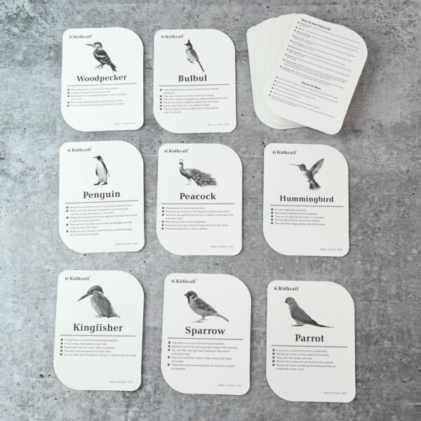 Childkraft Early Learner Educational Flashcards  32 Birds - Image 4