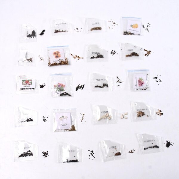 Seeds 20 Varieties Of Flower Seeds Combo (1 Pkt / 20 Varieties)