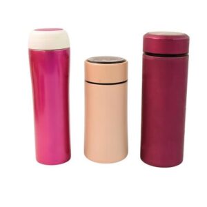 Stainless Steel Travel Water Bottle